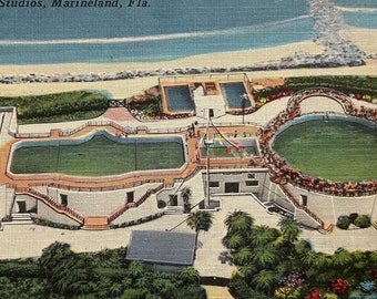 Aerial View of Marine Studios, Marineland, Florida, Vintage Linen Postcard