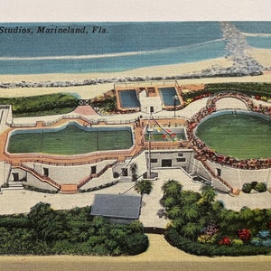 Vue aérienne de Marine Studios, Marineland, Floride, carte postale vintage en lin