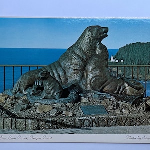 Famille d’otaries en bronze aux grottes des lions de mer, côte de l’Oregon, carte postale vintage