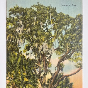 Chêne de Lanier, inspiration Sidney Lanier, carte postale en lin vintage