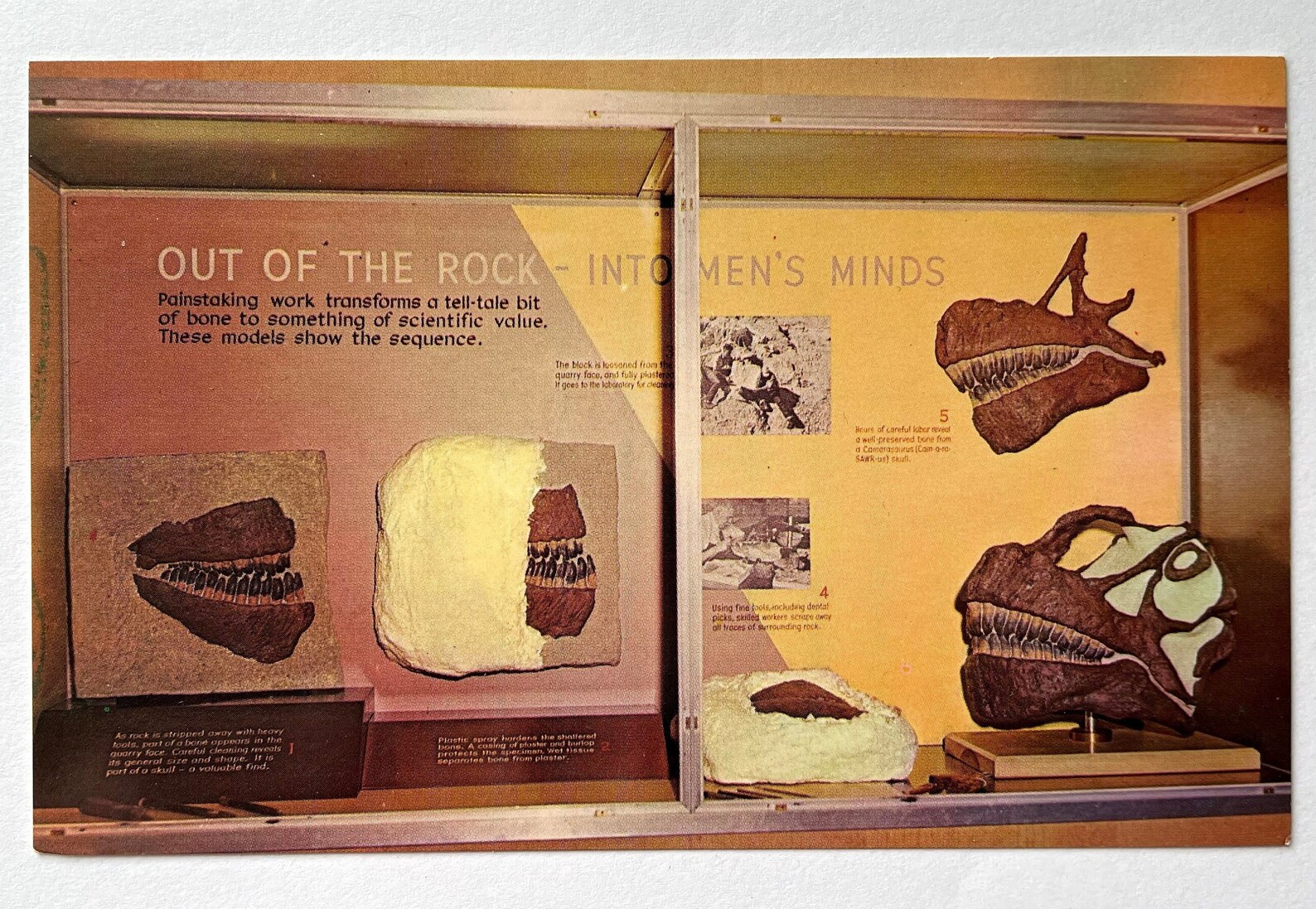 Dinosaur Quarry Visitor Center at Dinosaur National Monument Etsy