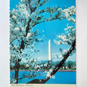 Le monument de Washington et les fleurs de cerisier annuelles, Washington DC, carte postale vintage