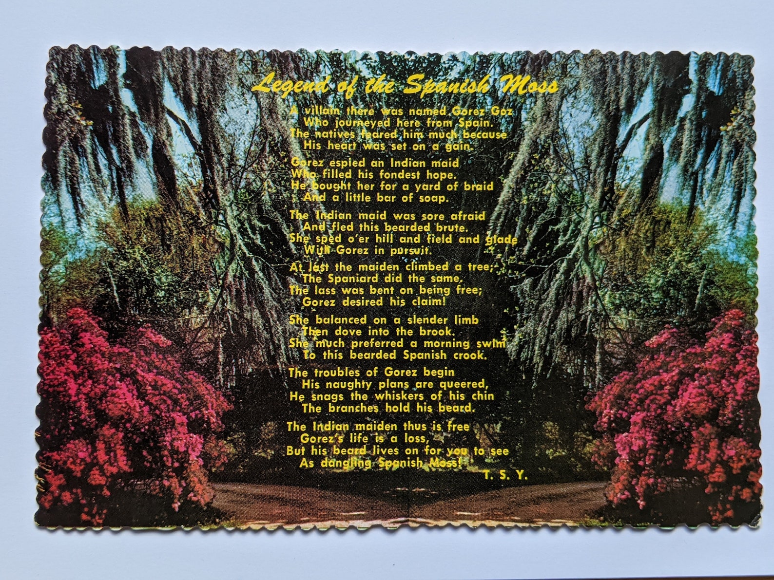 Legend of the Spanish Moss Poem Vintage Postcard With Etsy