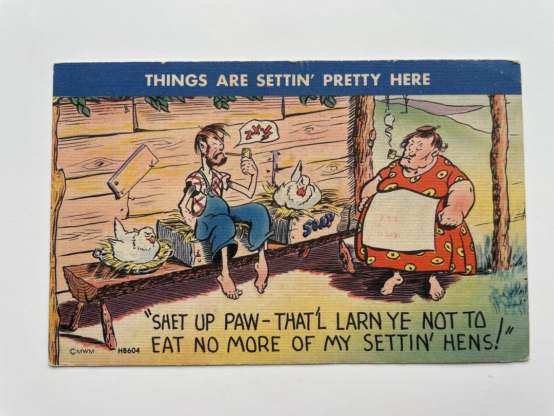 Humorous Redneck/hillbilly Cartoon/comic Postcard Things Are Settin ...