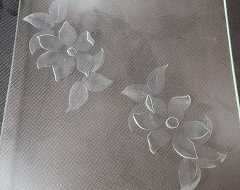 Frosted Etched Flowers Glass  Plate Dish for Serving or Eating