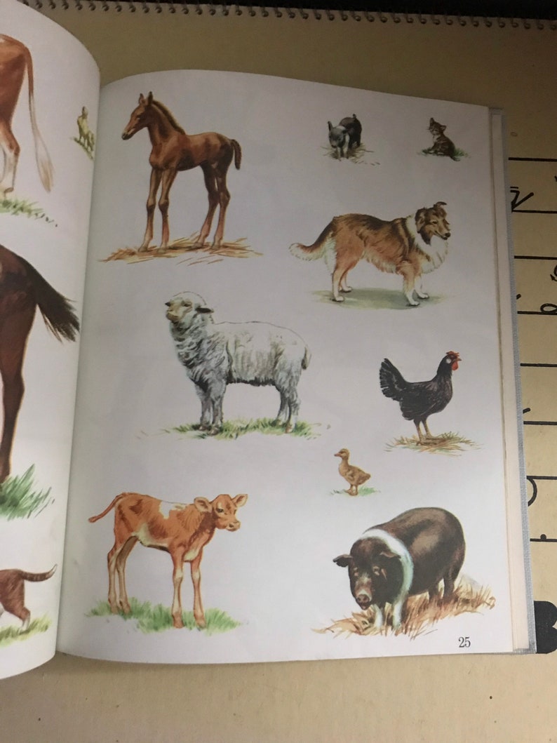 1958 Early Elementary Primer Reader Getting Ready Classroom Book Hardcoverdevelopmental Science