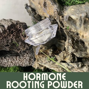 Root Stimulator for Plants, Rooting Hormone for Cuttings, Propagation Rooting Powder, Seed Hormone