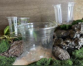Thin quality Starter clear small house plant pots with good drainage! 3.5/4/5 inch small crystal clear pot