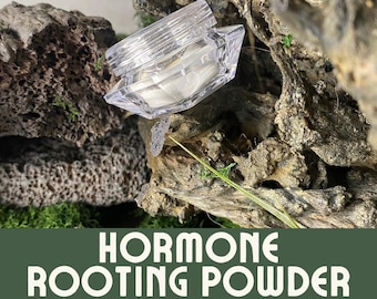 Root Stimulator for Plants, Rooting Hormone for Cuttings, Propagation Rooting Powder, Seed Hormone