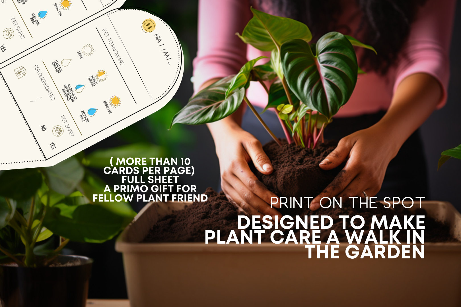 Plant Profile Passport Care Template Stakes | Plant Labels Indoor Plant ...