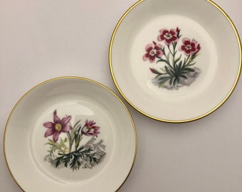 ヴィンテージ ロイヤル ウースター ディナープレート 花壷模様 Z815