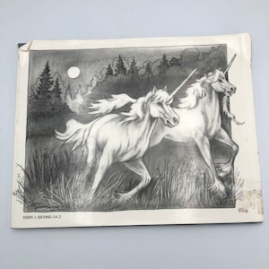 May include: A black and white pencil drawing of two unicorns running through a forest at night. The unicorns are white with silver horns and manes. The forest is dark and shadowy, with a full moon in the sky.
