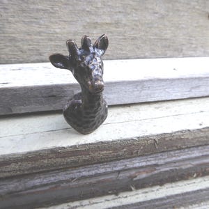 May include: A bronze-colored giraffe head sculpture with textured details. The giraffe has two small ears and three small horns. The sculpture is set against a weathered, wooden background.