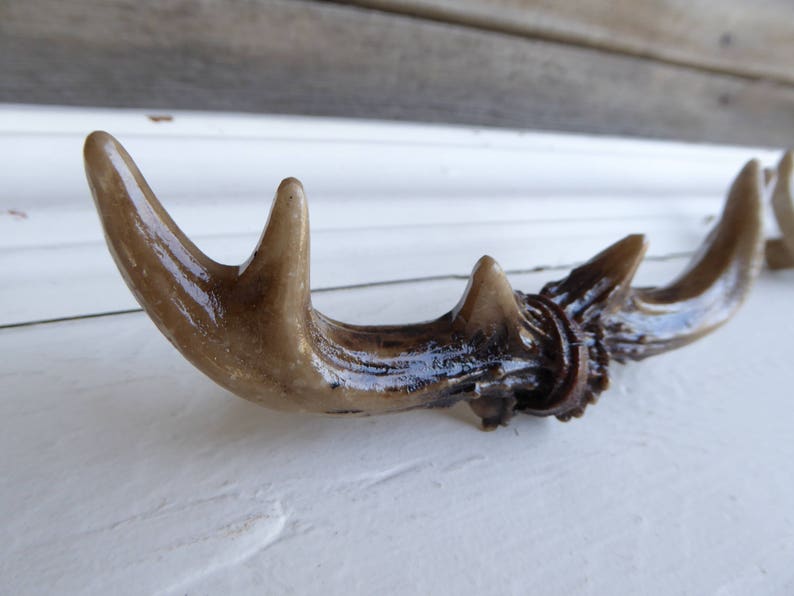 Deer Elk ANTLERS ANTLER Handle Drawer Pull Knob Etsy