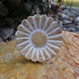 May include: A white and brown wooden flower-shaped knob with a raised centre. The knob is carved with a detailed design.