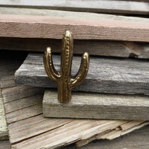 May include: A gold metal cactus-shaped cabinet knob or pull. The knob is on a stack of weathered wooden boards.
