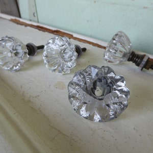 Flare Cut Flower Bud Star Clear GLASS Knob Drawer Pull Rustic Romantic Country image 3