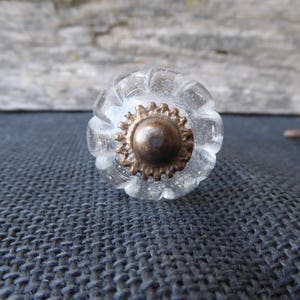 Klar KRISTALLGLAS-knopp ~ Pumpamönster Rustik Romantisk Fransk Lantlig Uppermått