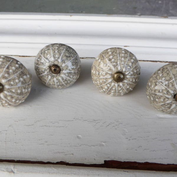 SEA URCHIN SHELL Decorative Dresser Drawer Pull Knob - Beach Nautical Coastal ~ Creamy Gray ~ Ceramic Home Decor