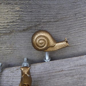 May include: A golden-colored snail-shaped cabinet knob. The snail has a detailed spiral shell and is mounted on a silver screw. The knob is designed to be attached to a wooden surface. Decorative hardware.