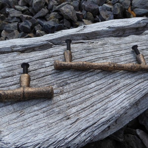 Puede incluir: Dos pomos de armario de metal de color dorado con un diseño de bambú. Los pomos tienen tornillos negros y están sobre una pieza de madera desgastada.