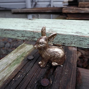 May include: A small, gold-colored rabbit figurine with detailed fur texture. The bunny is in a seated position with its ears perked up. It is placed on a weathered wooden surface, suggesting an outdoor or rustic setting.