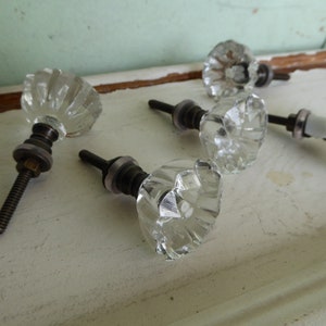 Flare Cut Flower Bud Star Clear GLASS Knob Drawer Pull Rustic Romantic Country image 5