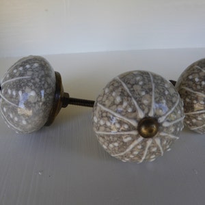 SEA URCHIN SHELL Decorative Dresser Drawer Pull Knob - Beach Nautical Coastal ~ Creamy Gray ~ Ceramic Home Decor