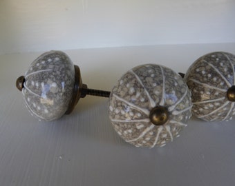 SEA URCHIN SHELL Decorative Dresser Drawer Pull Knob - Beach Nautical Coastal ~ Creamy Gray ~ Ceramic Home Decor