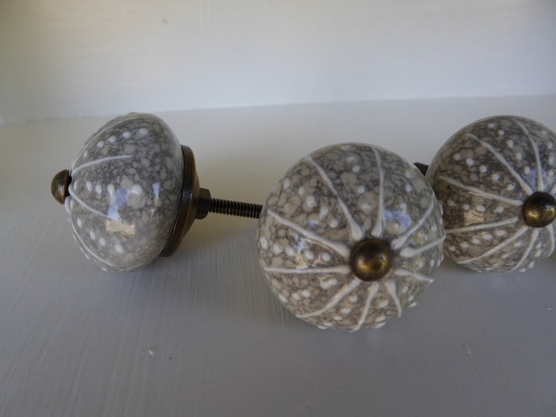 Carolina Hardware & Decor 4-Piece Seashell Ceramic Cabinet & Drawer Knobs