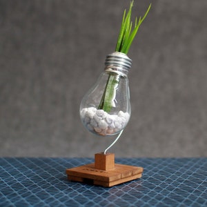 Office Desk Decor Anti-stress BETA Lightbulb Personalized Corporate Company or Personal Gift, Relaxation Decoration, Home Office Gift image 2