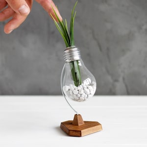 Unique Home and Office Desk Decor for Relaxation, Upcycled Lightbulb Plant Holder, Anti-Stress HEX Bulb, Personalized Gift for Him or Her