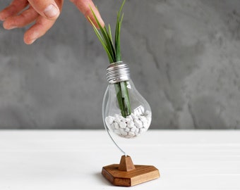 Unique Home and Office Desk Decor for Relaxation, Upcycled Lightbulb Plant Holder, Anti-Stress HEX Bulb, Personalized Gift for Him or Her