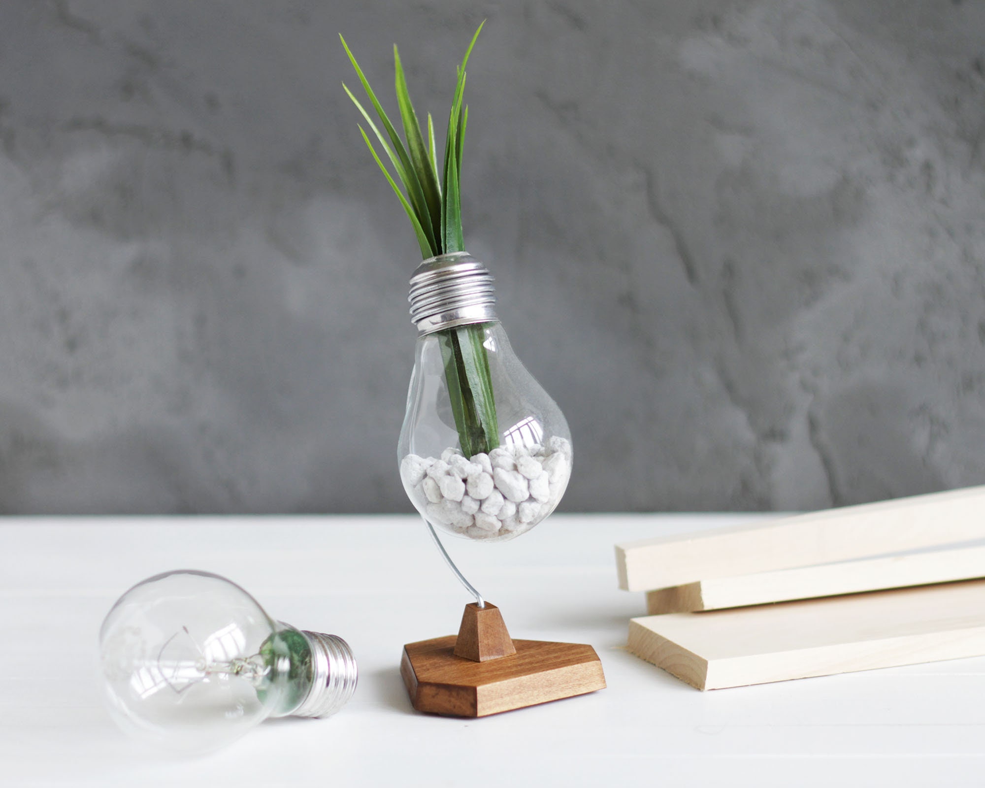 Unique Home and Office Desk Decor for Relaxation, Upcycled Lightbulb Plant  Holder, Anti-stress HEX Bulb, Personalized Gift for Him or Her -  Israel