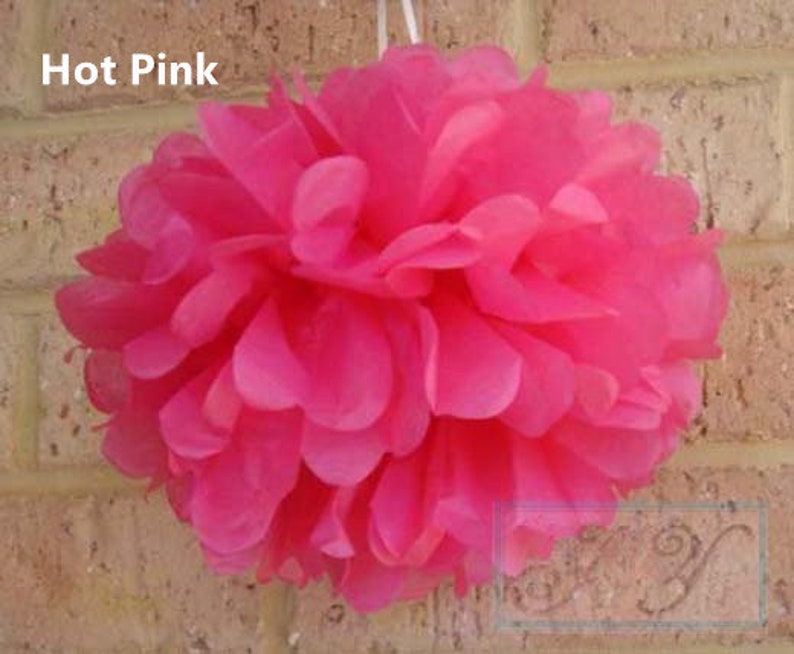 18pcs Pink Shade Tissue Paper Pom Poms Girl's First 21st Etsy UK