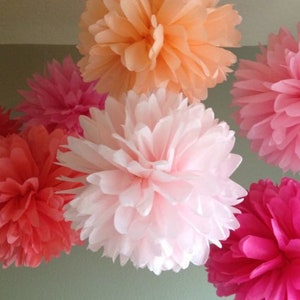 20pcs Pinks Peach Tissue Paper Pom Poms Wedding Bridal Shower Baby Shower Party Engagement Nursery Home Photography Backdrops Decorations