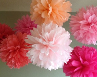 Pink Peach Tissue Paper Pom Poms, Party Decorations (20pcs)