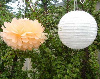 Peach Tissue Pom Poms White Paper Lanterns Wedding Engagement Anniversary Birthday Party Bridal Baby Shower Venue Home hanging Decoration