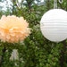 see more listings in the Paper Lanterns Pom Poms section