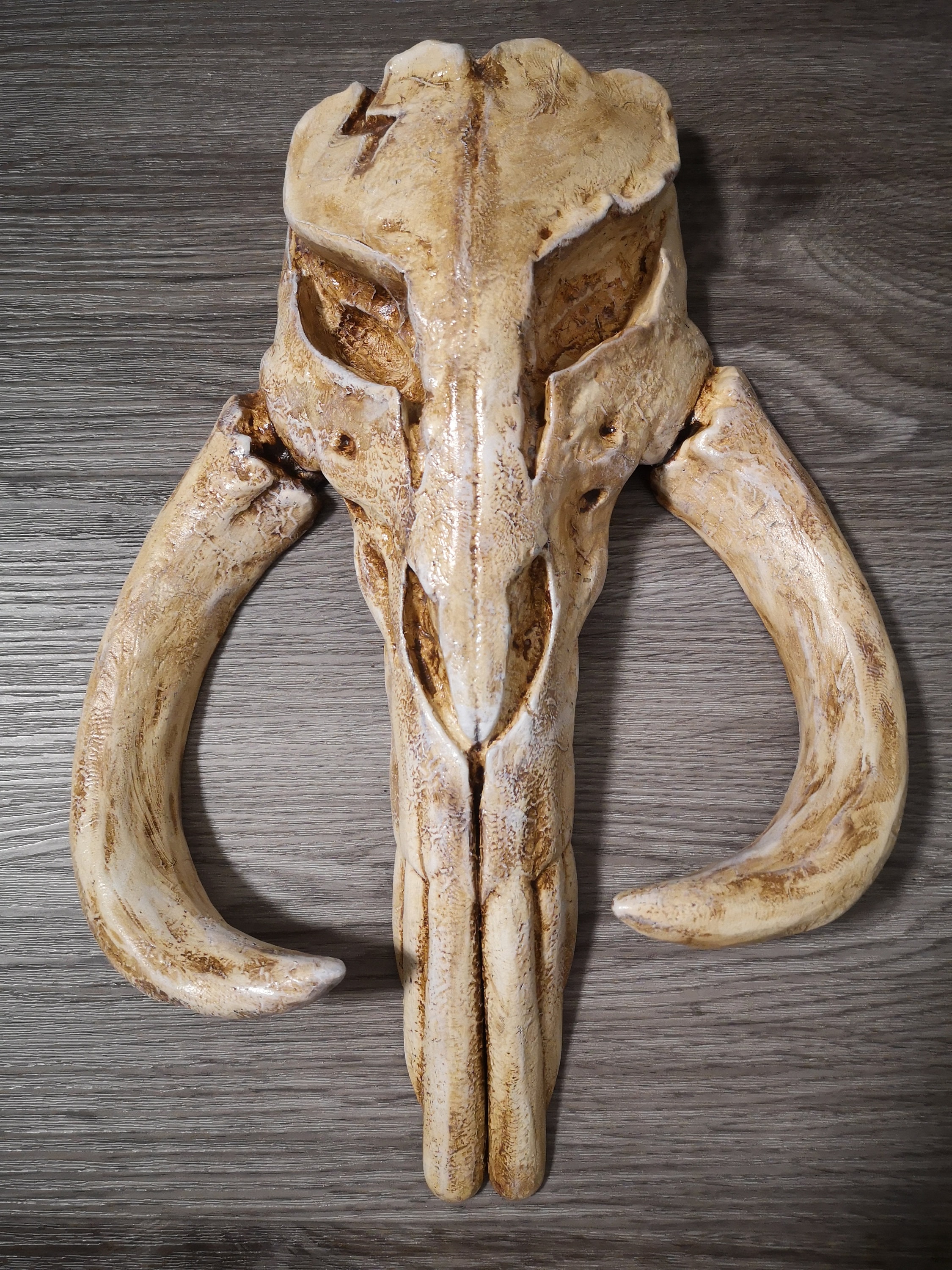 Decoración de pared con calavera de mitosaurio de 28 cm