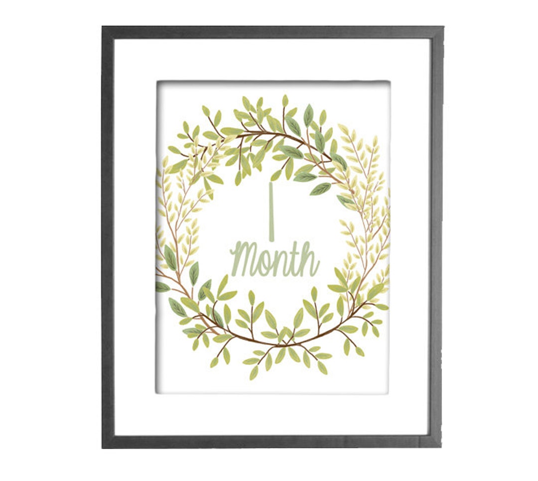 Monthly Baby Photo Signs, DIY Baby Photo Prop, Monthly Baby Photos ...