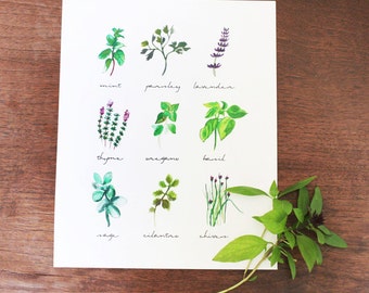 Herbs Print, Botanical Print, Botanical Art, Herbs Art Kitchen Decor, Herb Set, Herb Collection, Printable - INSTANT DOWNLOAD - 8x10 Inches