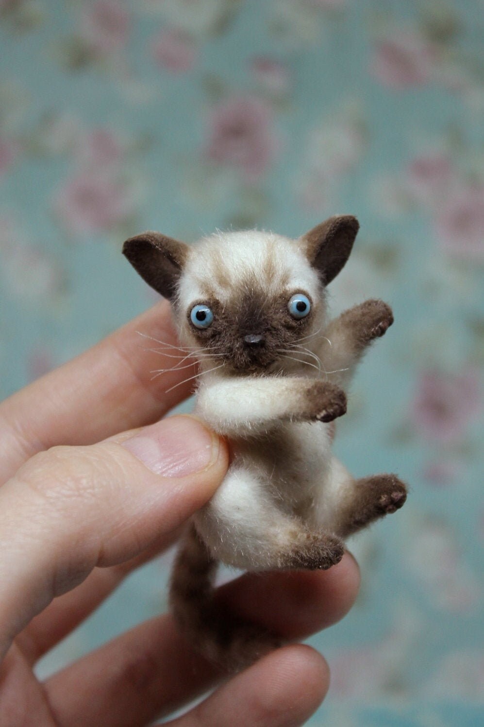 siamese plush cat