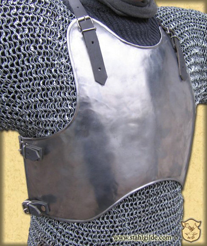 Larp larp armor fantasy medieval costume armor steel image 1