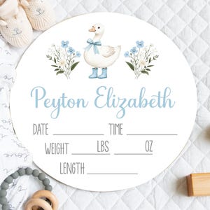 PERSONALIZED BLUE GOOSE Birth Stats Sign, Goose Baby Girl Gift, Baby Girl Hospital Bassinet Sign, Baby Girl Birth Stats, Goose Nursery Sign