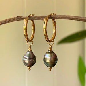 Unspoken Bond Collection, Single Tahitian Pearl Hoop Earring, Peacock Tahitian pearls, 14K Gold filled earrings,Handmade in Hawaii