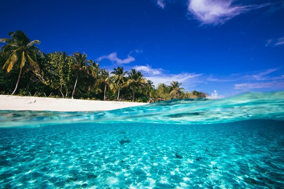 Over Under Photo Of Tropical Paradise Island Sapphire Blue Etsy
