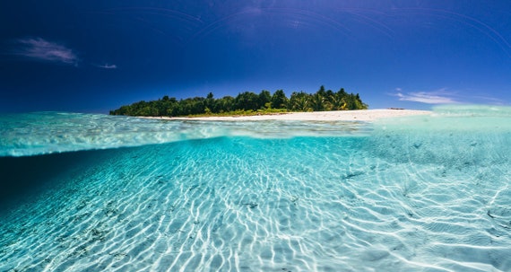 Over Under Photo Of Tropical Paradise Island Sapphire Blue Etsy