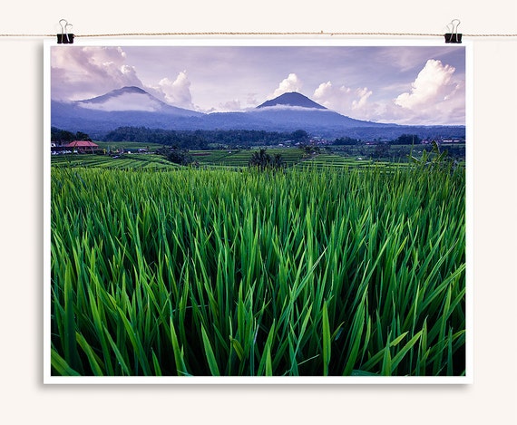 Afternoon at the Waterfalls in Bali Tropical Decor - DIGITAL DOWNLOAD 20.32 x 30.48 cm Travel Photography Bali Photos 8x12 inch