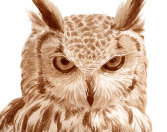 beer art, Owl, painted with beer, realistic owl, grumpy owl, beer painting, bird, pub art, bar art, bird lover gift